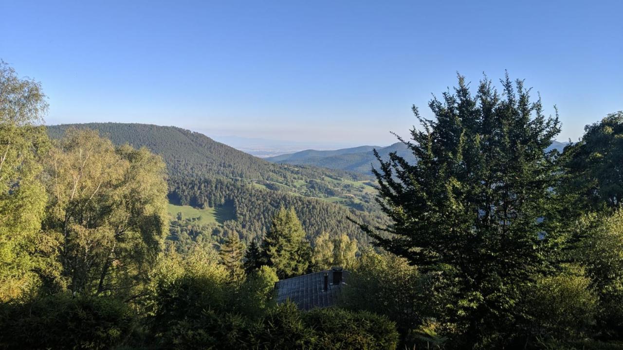 Apigite68, Proche Route Des Vins, Vosges, Colmar Et Non Loin D'Europa-Park! Villa Ostheim Dış mekan fotoğraf